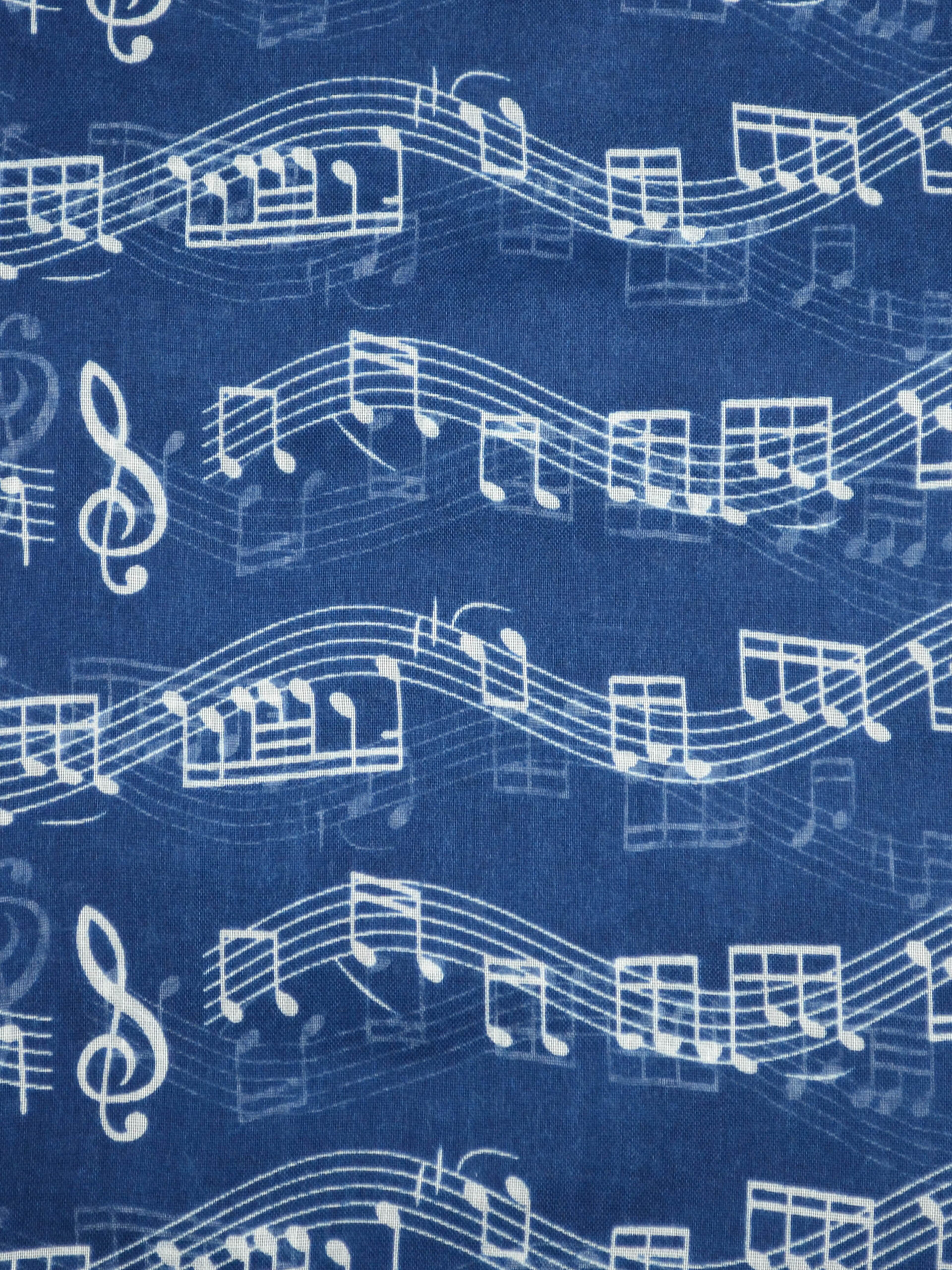 SC211-NAVY-3
